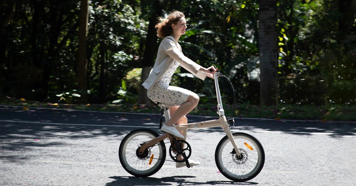 How to Maintain Carbon Fiber Electric Bike in Summer