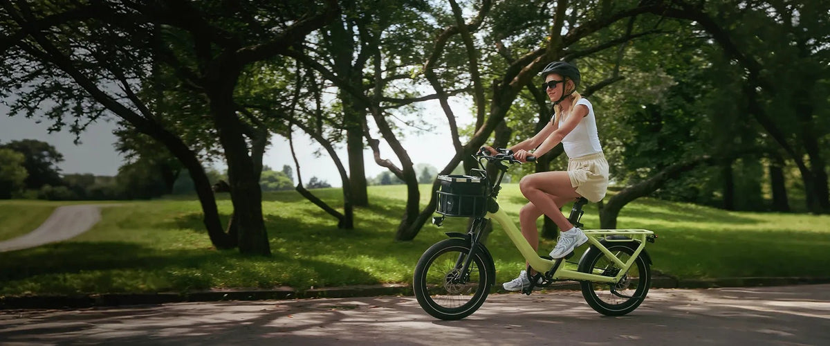 How to choose E-bikes for Family Errands