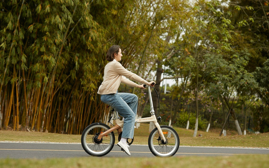ADO Ebike Complies with European Battery & Waste Regulations
