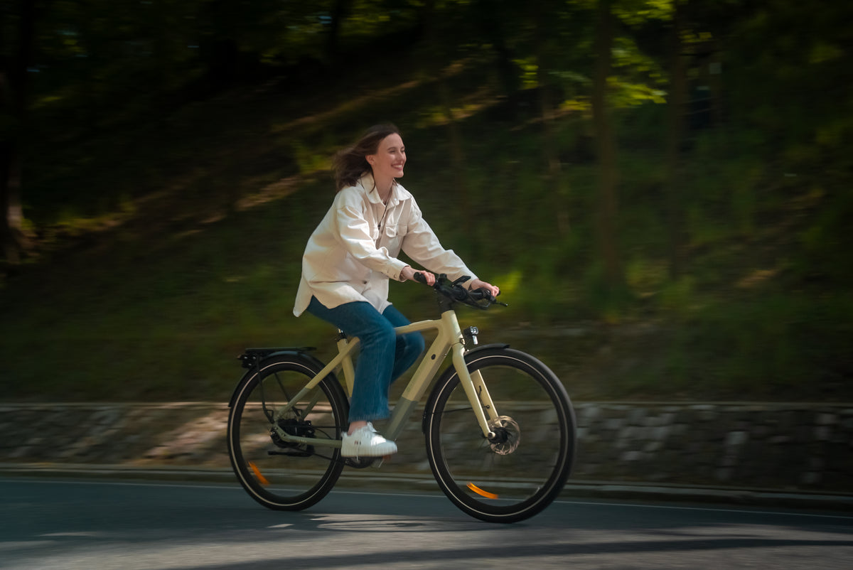 City Electric Bikes