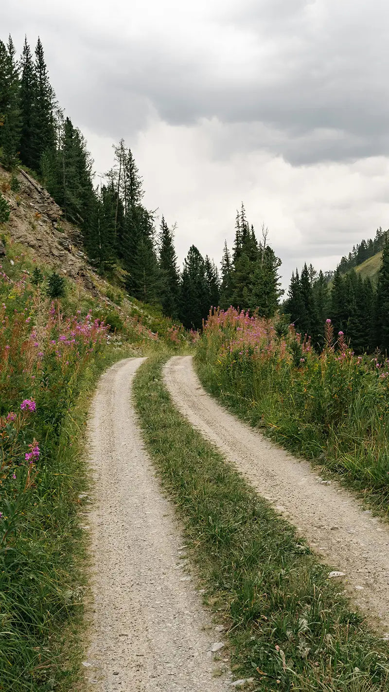 Gravel Trail