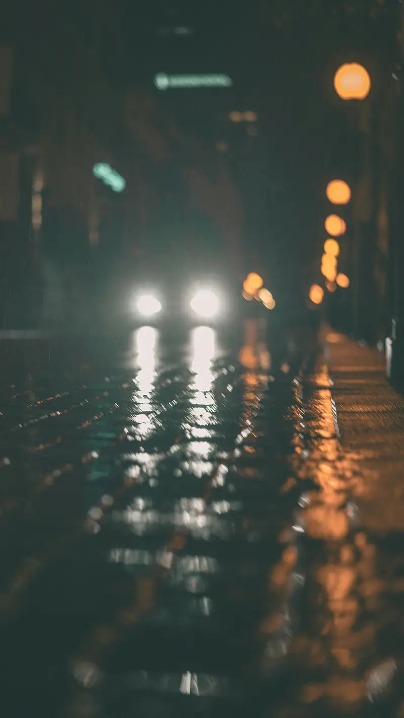 Rain & Fog Night