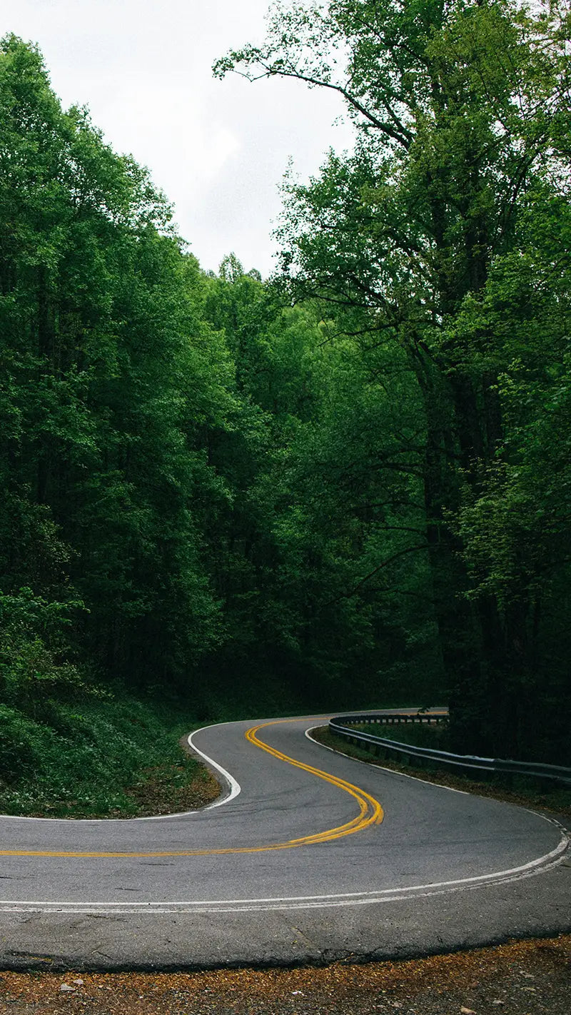 Climbing